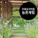 모동지장마을 영농조합법인 | 국내 힐링여행 전북 무주 무풍승지마을 농촌체험 휴양마을(펜션 숙소)