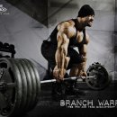 바디플라워 이미지