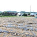 처인공인중개사사무소 이미지