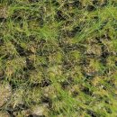 화은농장 이미지