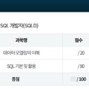 [HD]데이터분석전문가(ADP) 실기 - 비정형 분석, 실전문제 | 2024 SQLD 55회 합격 후기 및 준비 과정