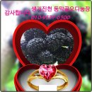 양수농장 이미지
