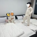 어푸키즈풀빌라 | 가평 신상 키즈 펜션 다녀왔어요~[어푸키즈 풀빌라] 내돈내산 후기