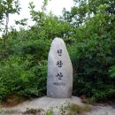 비슬목장 이미지