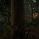 더포레스트 이미지