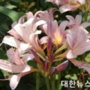 박귀월머리마을 이미지