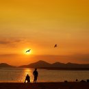 사람과바다 이미지