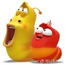 라바 머니투데이