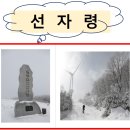 제5차 1월20일 세째주(토) 정기산행 "선자령 눈꽃산행" 좌석방 이미지