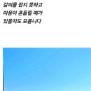 바다좋은 이미지