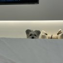 이마트24 포항구룡포점 이미지