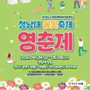 2026 청남대 영춘제 무료입장 꿀팁 (주차, 순환버스, 축제일정)