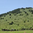 용눈이오름 주차장 이미지