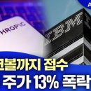 '레거시 거인' IBM 주가 폭락... 이 전조(前兆)는? 이미지