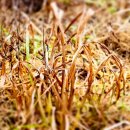 제주 올레길 3코스 A 이미지