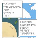 일품해운대봉가떡볶이 서면점 | 사랑은 여름