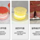 빙구당