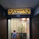 예스동물병원 | [아이와 함께] 냥이시대 : 사랑스러운 고양이들과 함께 한 하루 (재방문 후기)