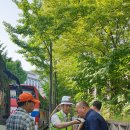 배문중학교 이미지