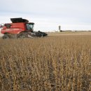 호제농장 이미지