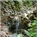 금어로2 이미지