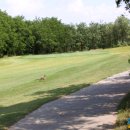 캐슬렉스CC 이미지