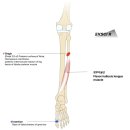 CM Fitness 이미지