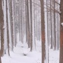 송정공원 이미지