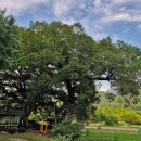 의령 고산재 이미지