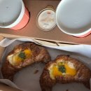 애견호텔 나무야 | 경주 애견 동반 숙소 &#39;키녹 호텔&#39; 디럭스 강아지 동반 펫파크 후기