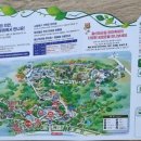 울산사랑의지팡이 이미지