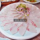 대구횟집 | 활어회가 신선한 부산 자갈치 맛집 추천 대구횟집 강력추천 대만족 후기