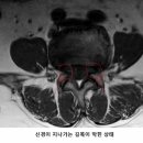 금병원 이미지