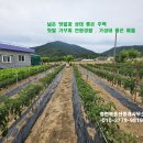 광천태양광 - 50036 | 광천태양광