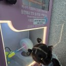 누리미소반 장이서주말이야기 이미지