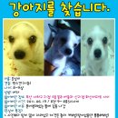 괴정2동-19 이미지