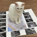 구룡사 앞 교차로 | 30대 독학으로 운전면허 따기 | 2종 보통 | 도로주행 불합격 | 서부 운전면허시험장