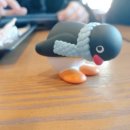 9라운드