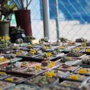 인천대공원(정문) 이미지