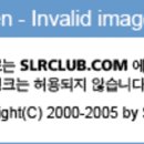 884007 네이버블로그