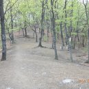 두리봉네거리 좌측 이미지