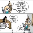 11월 17일 이미지