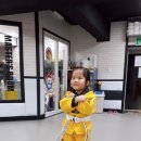 리라태권도 이미지