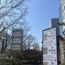 스시오무무 | 회전초밥 무한리필 내돈내산 여의도 동해도스시 후기 (ft. 동해도스시,갓파스시,스시오)