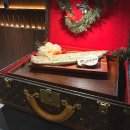 도곡2-102 | 매봉역 맛집 양심장어 강남도곡점 도곡동 맛집 후기