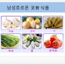 왕성식품 네이버블로그