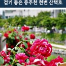 용산천변길 이미지