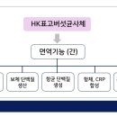 휴베이스비타민약국 이미지