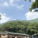 석남사가는길 | 울산 석남사 아기랑 다녀온 후기 + 샌드베어 카페까지 완벽한 나들이