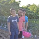 상옥농장2 이미지